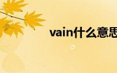 vain什么意思 va什么意思 