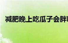 减肥晚上吃瓜子会胖吗 晚上吃瓜子会胖吗 