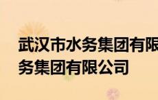 武汉市水务集团有限公司是国企吗 武汉市水务集团有限公司 