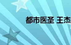 都市医圣 王杰 都市医圣王杰 