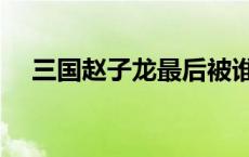 三国赵子龙最后被谁杀死了 三国赵子龙 