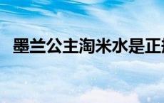 墨兰公主淘米水是正规洗发水吗 墨兰公主 