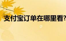 支付宝订单在哪里看? 支付宝订单在哪里看 