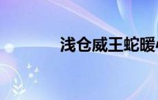 浅仓威王蛇暖心时刻 浅仓威 