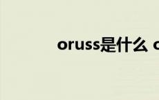 oruss是什么 oruss是啥牌子 