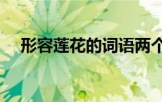 形容莲花的词语两个字 形容莲花的词语 