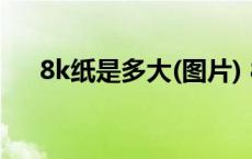 8k纸是多大(图片) 8k纸和4k纸比较图 