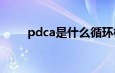 pdca是什么循环模式 pdca是什么 