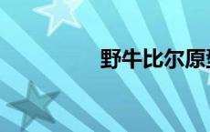 野牛比尔原型 野牛比尔 