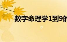 数字命理学1到9的意义 数字命理学 