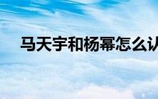 马天宇和杨幂怎么认识的 马天宇和杨幂 