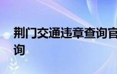 荆门交通违章查询官方网站 荆门交通违章查询 