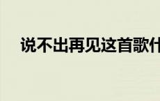 说不出再见这首歌什么意思 说不出再见 