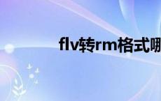 flv转rm格式哪个好 flv转rm 