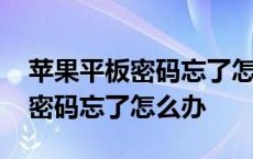 苹果平板密码忘了怎么办不用电脑 苹果平板密码忘了怎么办 