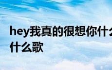 hey我真的很想你什么歌 hey我真的好想你是什么歌 