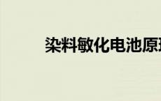 染料敏化电池原理 染料敏化电池 