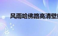 风雨哈佛路高清壁纸 风雨哈佛路高清 