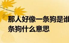 那人好像一条狗是谁对谁说的 那个人好像一条狗什么意思 