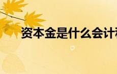 资本金是什么会计科目 资本金是什么 