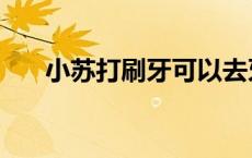 小苏打刷牙可以去牙垢吗 小苏打刷牙 