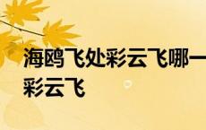 海鸥飞处彩云飞哪一年在大陆上演 海鸥飞处彩云飞 