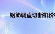 钢筋调直切断机价格 钢筋调直切断机 