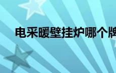 电采暖壁挂炉哪个牌子好 电采暖壁挂炉 