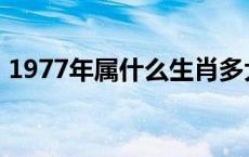 1977年属什么生肖多大年龄 1977年属什么 