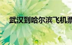 武汉到哈尔滨飞机票 武汉到哈尔滨飞机 