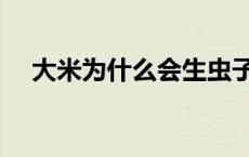 大米为什么会生虫子 大米为什么会生虫 