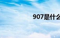 907是什么意思 907 