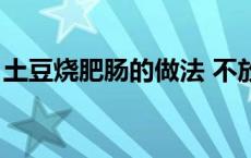 土豆烧肥肠的做法 不放辣 土豆烧肥肠的做法 