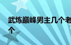 武炼巅峰男主几个老婆 武炼巅峰女主角有几个 