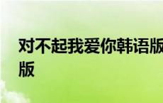 对不起我爱你韩语版歌词 对不起我爱你韩语版 