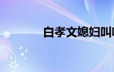 白孝文媳妇叫啥 白孝文老婆 