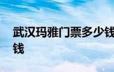 武汉玛雅门票多少钱一张 武汉玛雅门票多少钱 