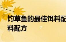 钓草鱼的最佳饵料配方视频 钓草鱼的最佳饵料配方 