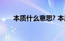 本质什么意思? 本质到底是什么意思 