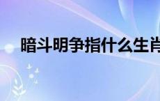 暗斗明争指什么生肖 暗斗明争打一生肖 