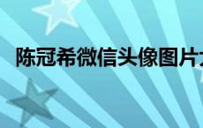 陈冠希微信头像图片大全 陈冠希发型大全 