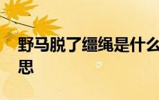 野马脱了缰绳是什么意思 野马脱缰是什么意思 