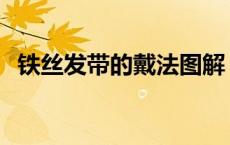 铁丝发带的戴法图解 铁丝发带的系法图解 