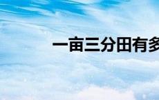 一亩三分田有多大 一亩三分田 