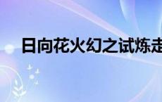 日向花火幻之试炼走什么流派 日向花火 