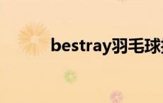 bestray羽毛球拍价格 bestray 