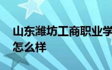 山东潍坊工商职业学院怎么样 山东工商学院怎么样 