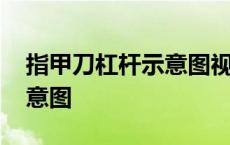 指甲刀杠杆示意图视频讲解 指甲刀的杠杆示意图 