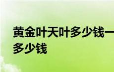 黄金叶天叶多少钱一包细支图片 黄金叶天叶多少钱 