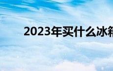 2023年买什么冰箱好 买什么冰箱好 